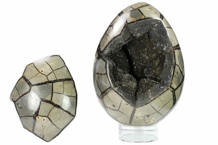 Septarian Dragon Egg Geode - Removable Section #134632